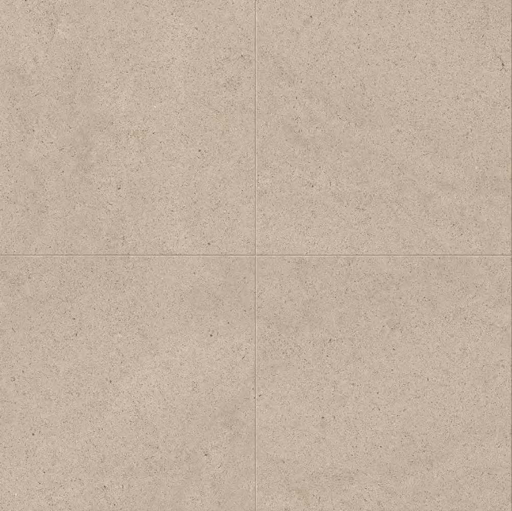 Ivory_Dust_e52d3f9b-b0be-4843-8cb8-99c18a8a475c