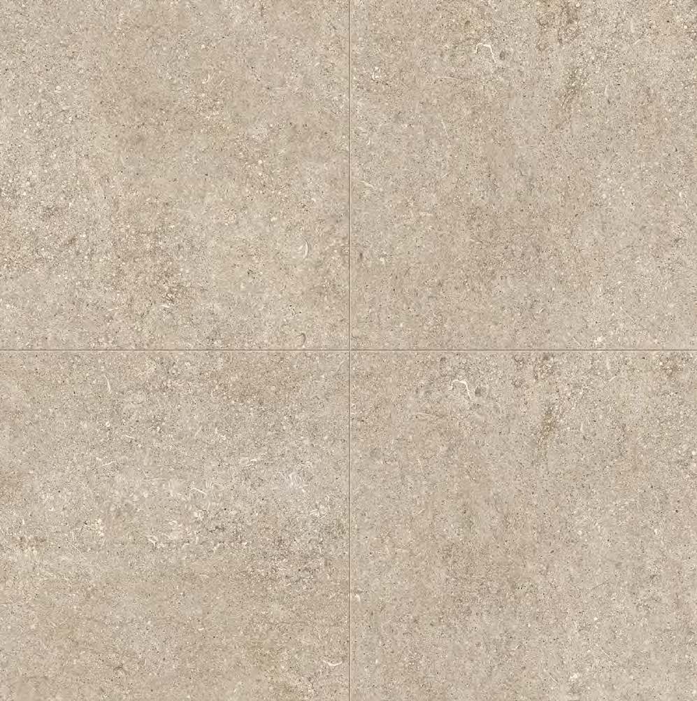 Ivory_Fossil_1c7393a1-9bfe-410e-8480-c09a3858f699