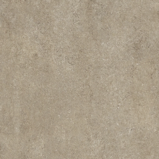 Sensi Taupe Fossil