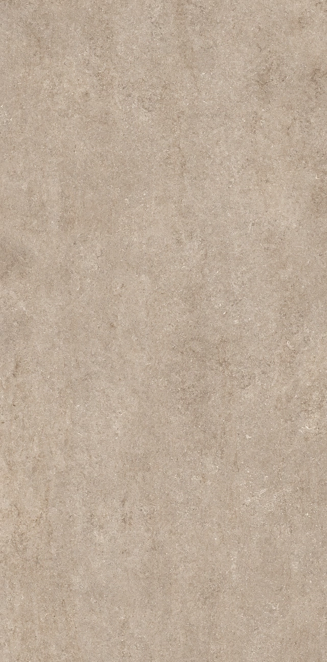 Stone Fossil Ivory Stone Fossil Ivory