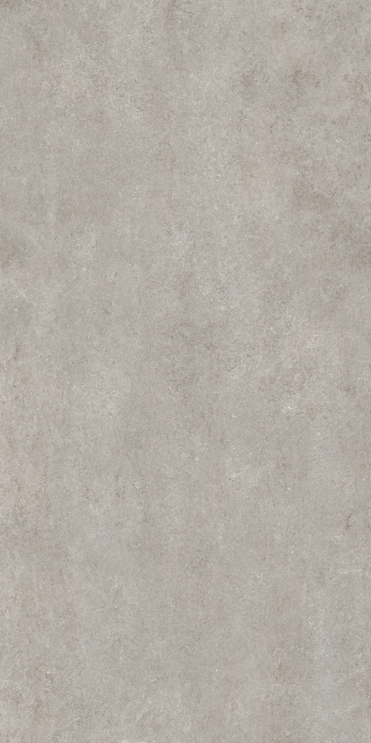 Florim Stone Fossil Grey