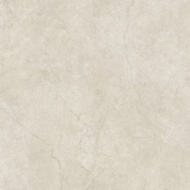 Stone Life Shell Stone Life Shell
