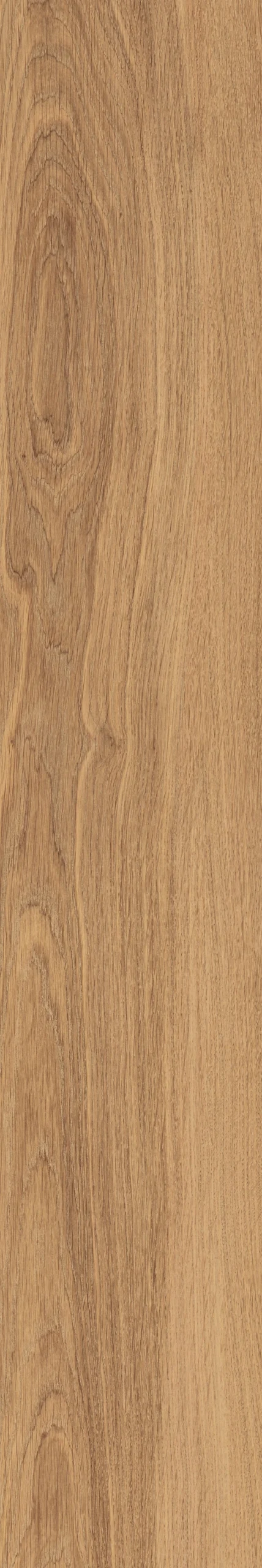 Oaky Life Rustic Oak